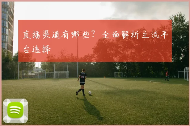 直播渠道有哪些？全面解析主流平台选择